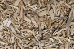 biomass boilers Greystoke